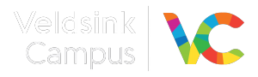 Veldsink Campus logo